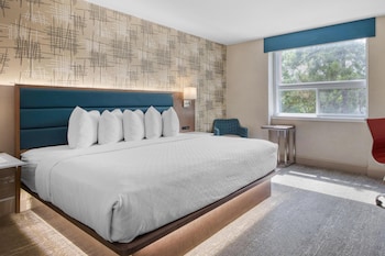 Standard Room, 1 Queen Bed, Non Smoking, Refrigerator