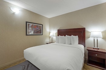 Standard Room, 1 Queen Bed, Non Smoking, Refrigerator