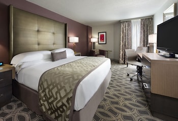 Room, 1 King Bed, Accessible, Allergy Friendly (Hearing)