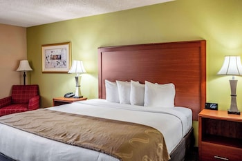 Room, 1 King Bed, Accessible, Non Smoking