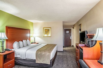 Standard Room, 1 King Bed, Non Smoking