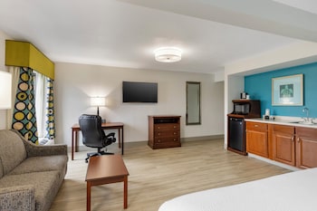 Executive Room, 1 King Bed, Non Smoking, Jetted Tub (with Sofabed)