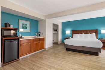 Executive Room, 1 King Bed, Non Smoking, Jetted Tub (with Sofabed)