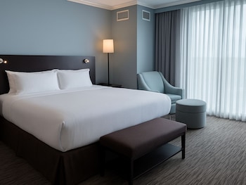 Suite, 1 King Bed (CEO)