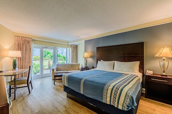 1 King Bed, Deluxe Room, Non-Smoking