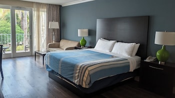 1 King Bed, Mobility/Hearing Impaired Access Room, Roll-in Shower, Non-Smoking