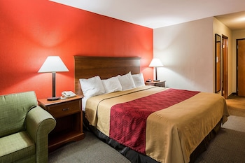 Standard Room, 1 King Bed, Non Smoking