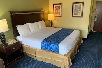 Deluxe Room, 1 King Bed, Non Smoking