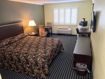Room, 1 King Bed