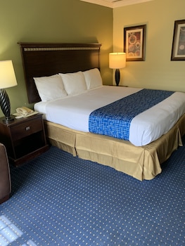 Deluxe Room, 1 King Bed, Non Smoking