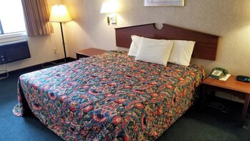 Traditional Room, 1 King Bed, Accessible, Non Smoking