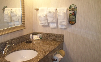 Premium Room, 1 King Bed, Accessible (Communications)