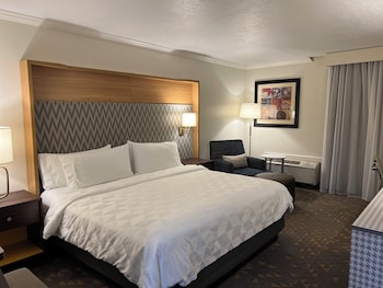 Premium Room, 1 King Bed, Accessible Bathtub (Communications)