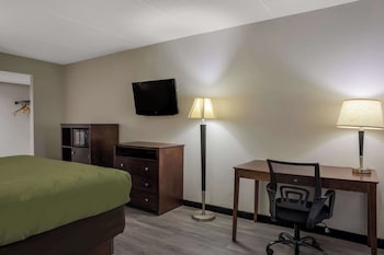 Standard Room, 1 King Bed, Non Smoking