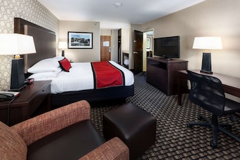 Suite, 1 King Bed, Non Smoking, Jetted Tub (with Sofabed)