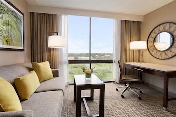 Executive Room, 1 King Bed with Sofa bed, Bathtub