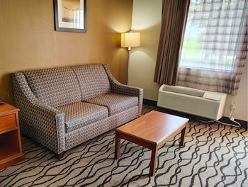 Standard Room, 1 King Bed with Sofa bed, Smoking