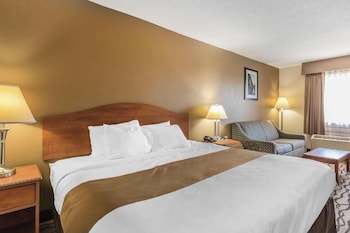 Standard Room, 1 King Bed with Sofa bed, Non Smoking