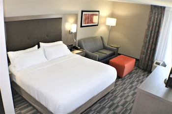 Standard Room, 1 King Bed with Sofa bed