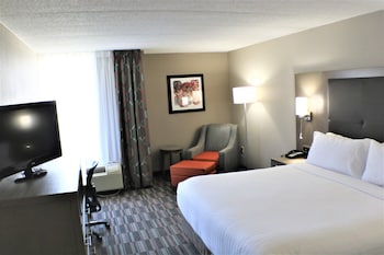 Standard Room, 1 King Bed (LEISURE)