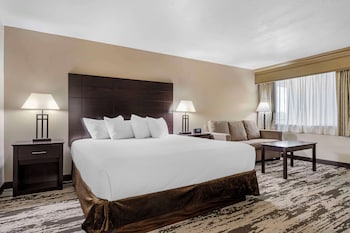 Standard Room, 1 King Bed, Non Smoking, Refrigerator & Microwave (Larger Room;with Sofabed)