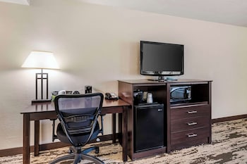 Standard Room, 1 King Bed, Non Smoking, Refrigerator & Microwave
