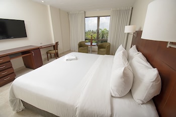 Room, 1 King Bed, Non Smoking (City or Garden View)