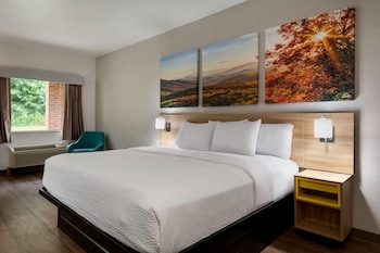 Room, 1 King Bed, Accessible, Non Smoking (Mobility Accessible)