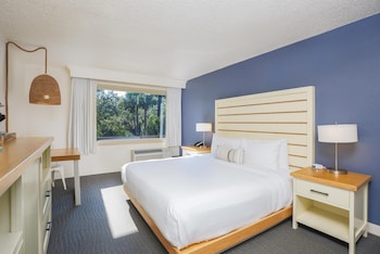 Room, 1 King Bed, Accessible (Resort)