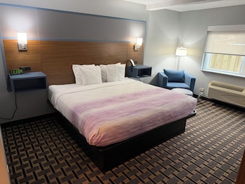 Room, 1 King Bed, Accessible, Non Smoking (Mobility/Hearing, Tub w/ Grab Bars)