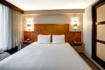 Room, 1 King Bed, Accessible, Bathtub