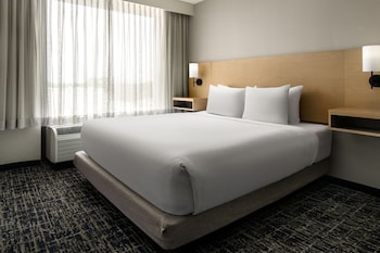 Room, 1 King Bed, Accessible, Bathtub