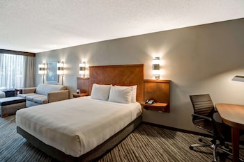 Room, 1 King Bed, Accessible, Bathtub