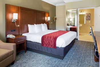 Room, 1 King Bed, Accessible, Non Smoking