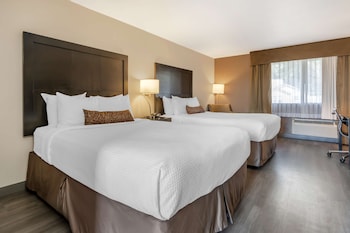 Standard Room, 2 Queen Beds, Non Smoking, Refrigerator & Microwave (Pet Friendly)