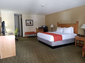 Standard Room, 1 King Bed, Non Smoking, Fireplace