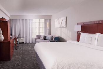 Room, 1 King Bed