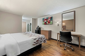 Superior Room, 1 King Bed, Accessible, Non Smoking