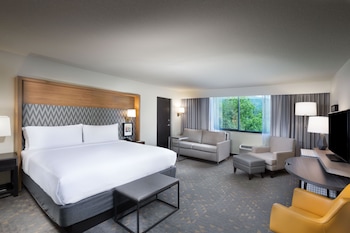 Suite, 1 King Bed, Mountain View
