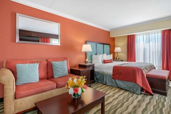 Standard Room, 1 King Bed, Non Smoking (Shower Only;Larger Room;with Sofabed)