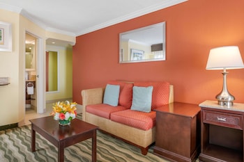 Suite, 1 King Bed, Accessible, Non Smoking (Walk-in Shower;with Sofabed)