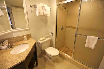 Standard Room, 1 King Bed, Accessible, Non Smoking (Walk-in Shower;with Sofabed)