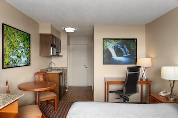 Deluxe Studio Suite, 1 King Bed, Non Smoking, Ocean View