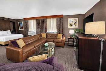 Room, Non Smoking (1 SOFABED PARLOR)