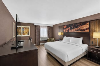 Room, 1 King Bed, Accessible, Non Smoking