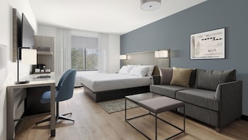 Suite, 1 King Bed with Sofa bed