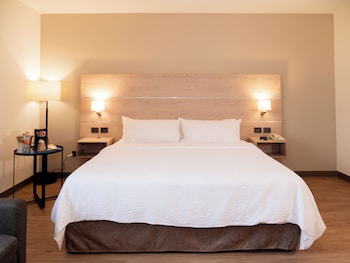 Suite, 1 King Bed