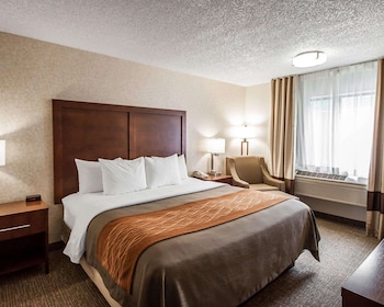 Standard Room, 1 King Bed, Non Smoking