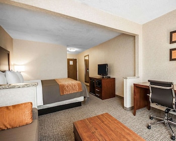 Suite, 1 King Bed with Sofa bed, Accessible, Non Smoking