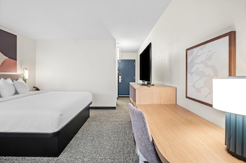 Room, 1 King Bed